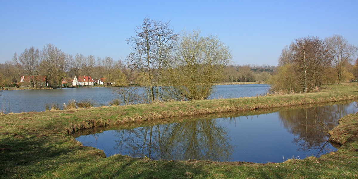 Marais de la grenouillère à Auchy-lès-Hesdin (62) Marais de la grenouillère à Auchy-lès-Hesdin (62)