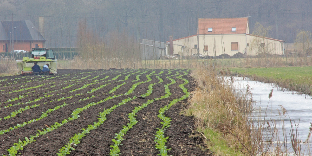 avril_marais_de_romelaere_23_jlvandeweghe-aeap.jpg