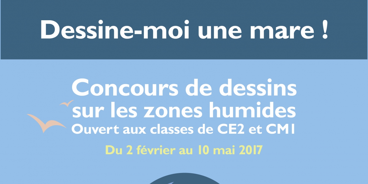 jmzh2017_dessine-moi_une_mare.jpg