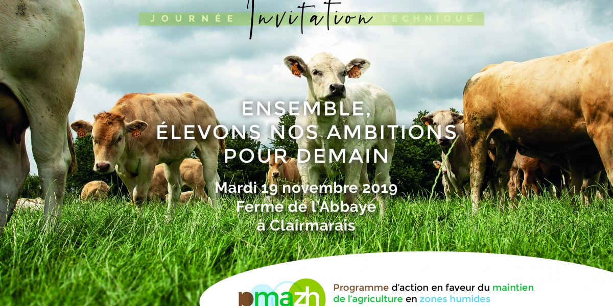 pmazh_invitation.jpg