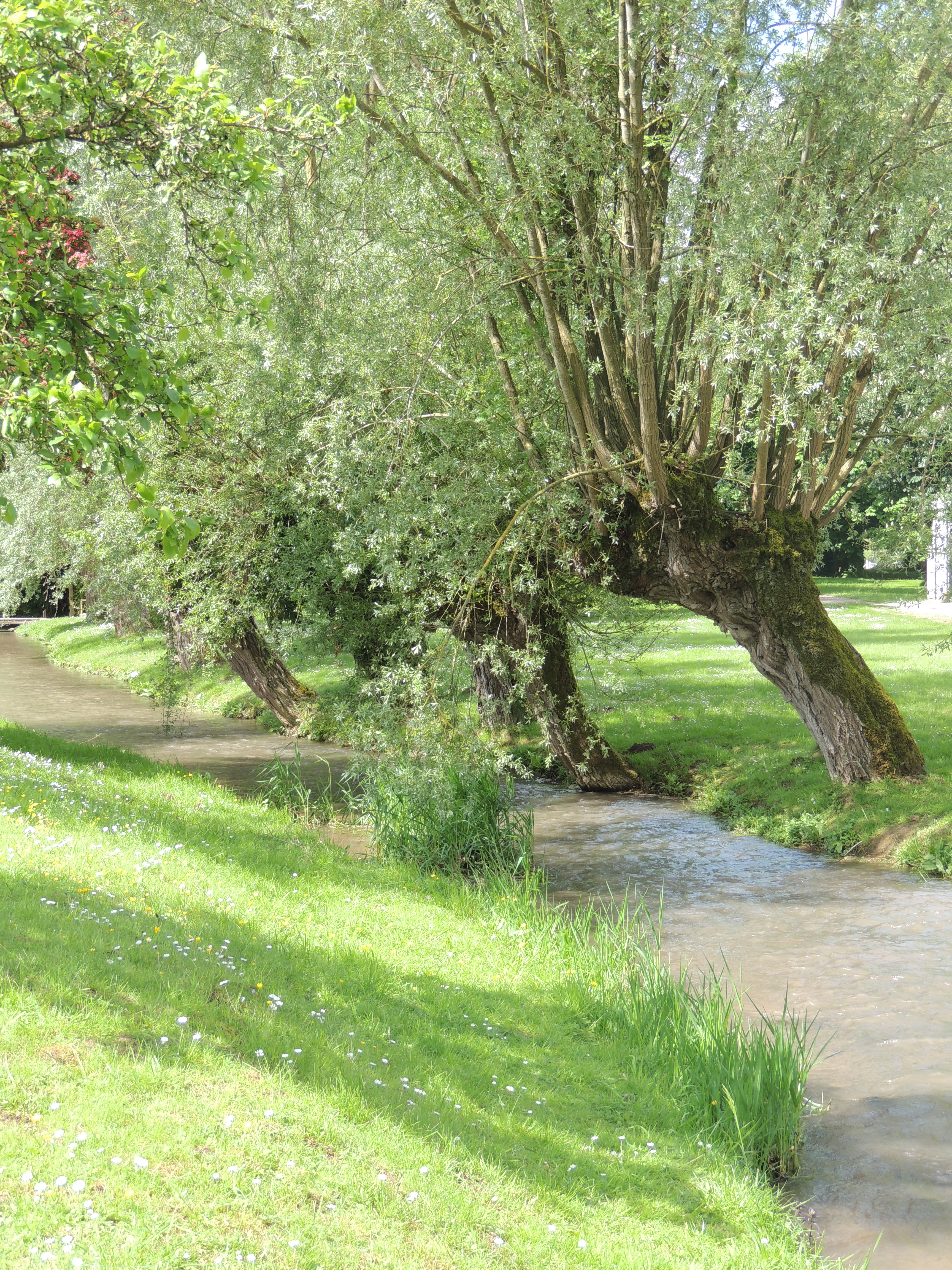 La Créquoise à Royon