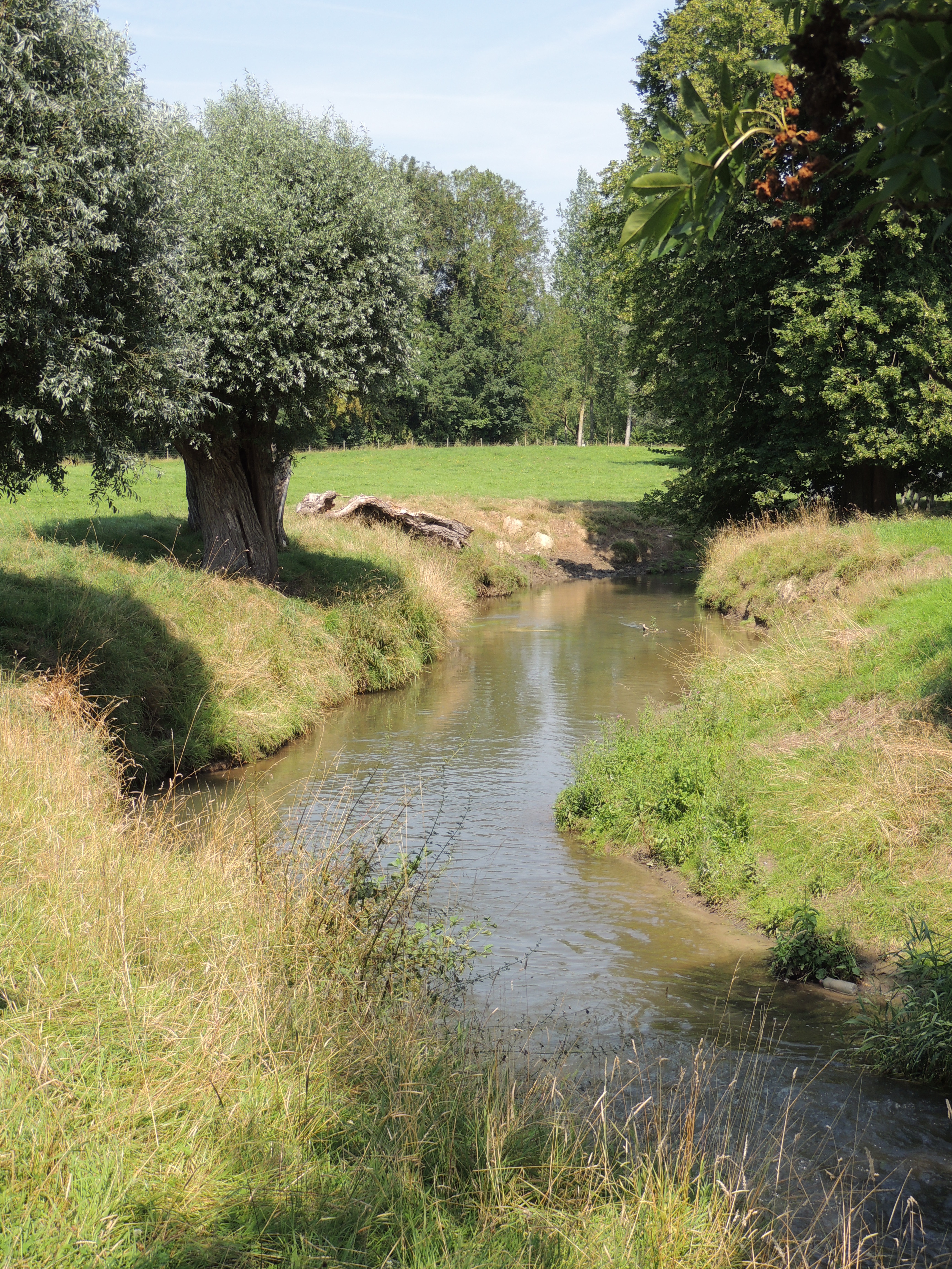 L'Ecaillon à Vendegies-sur-Ecaillon