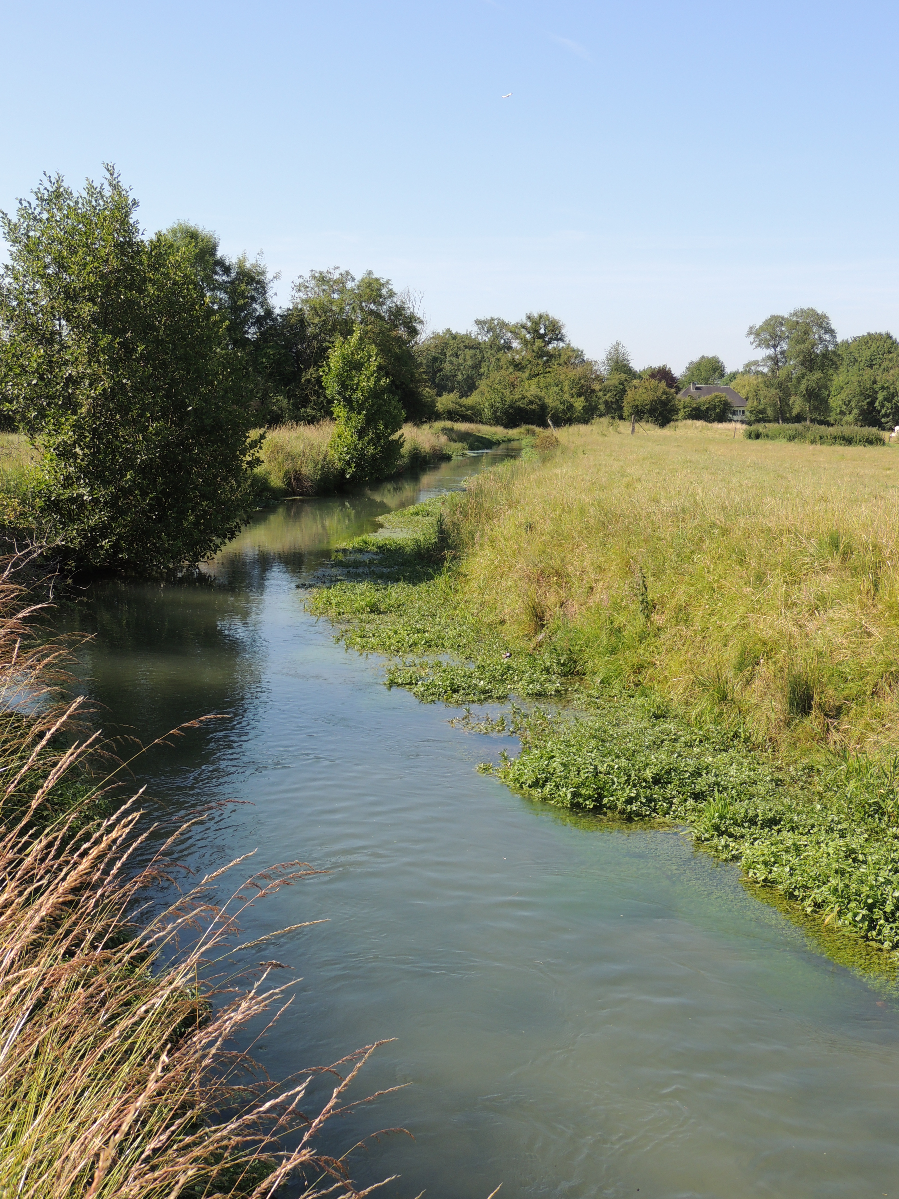 L'Hallue à Montigny-sur-l'Hallue_24