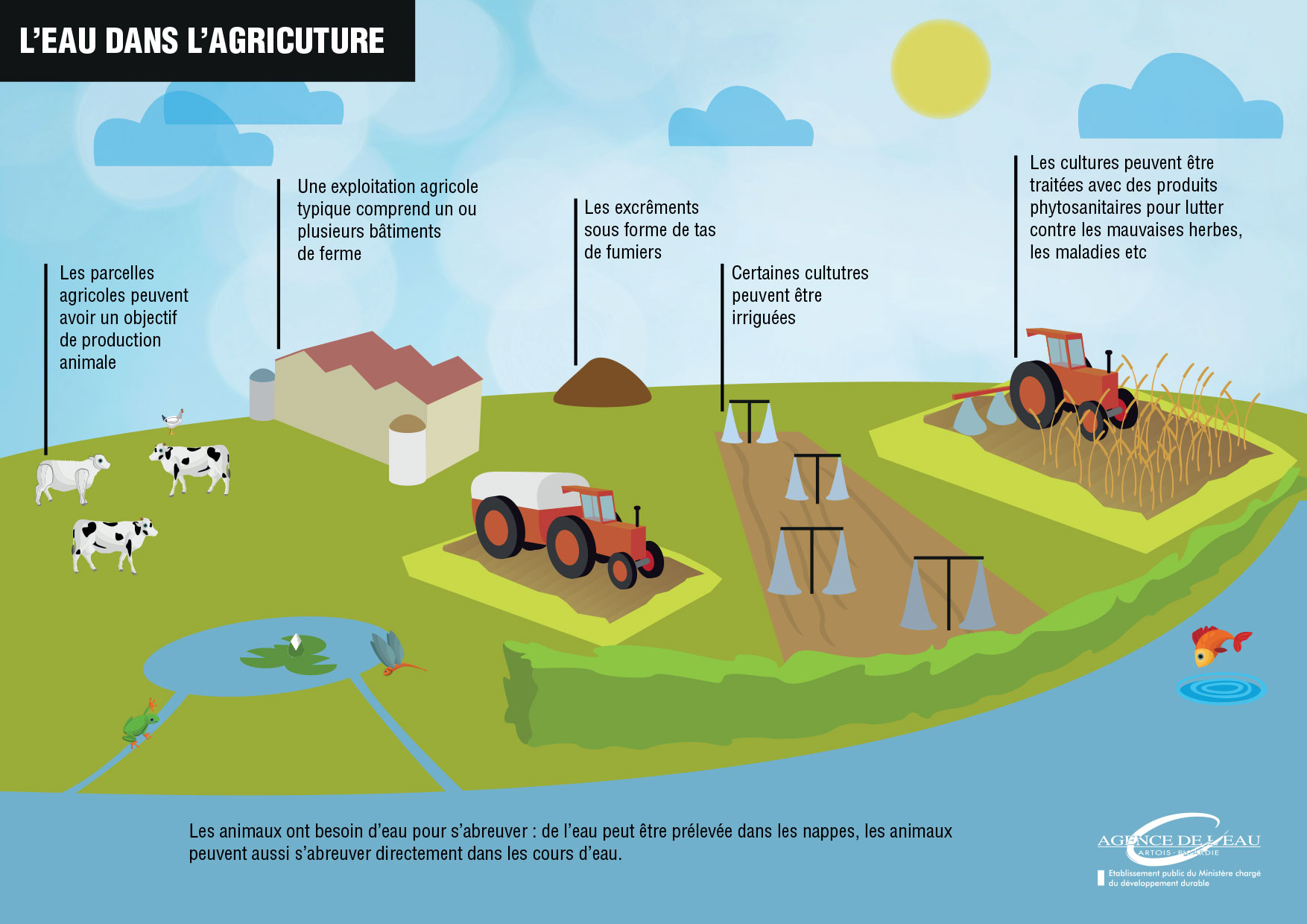 leau-dans-lagriculture.jpg