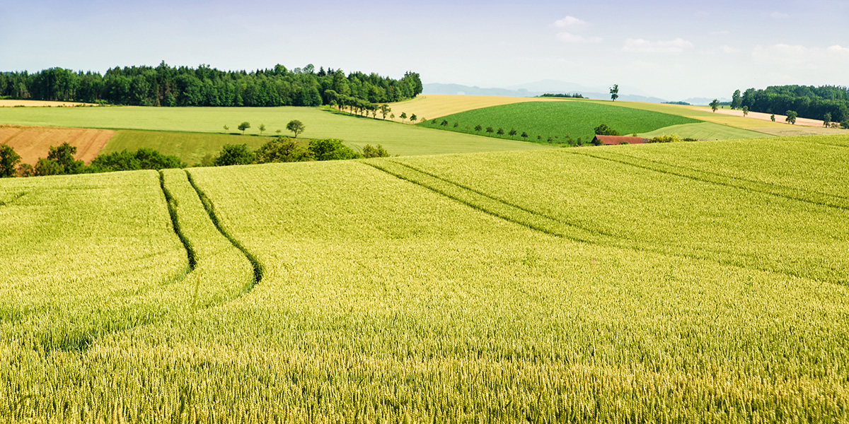 paysage_rural_fotolia_49981554_reduit.jpg