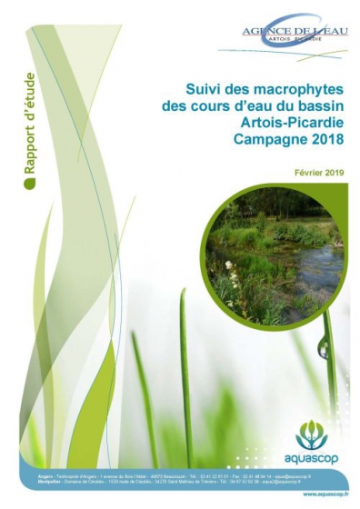 vignette_macrophytes_ccours_deau_2018.jpg