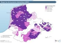 54_risque_mesu_pression_domestique_anc_edl2025_0.jpg