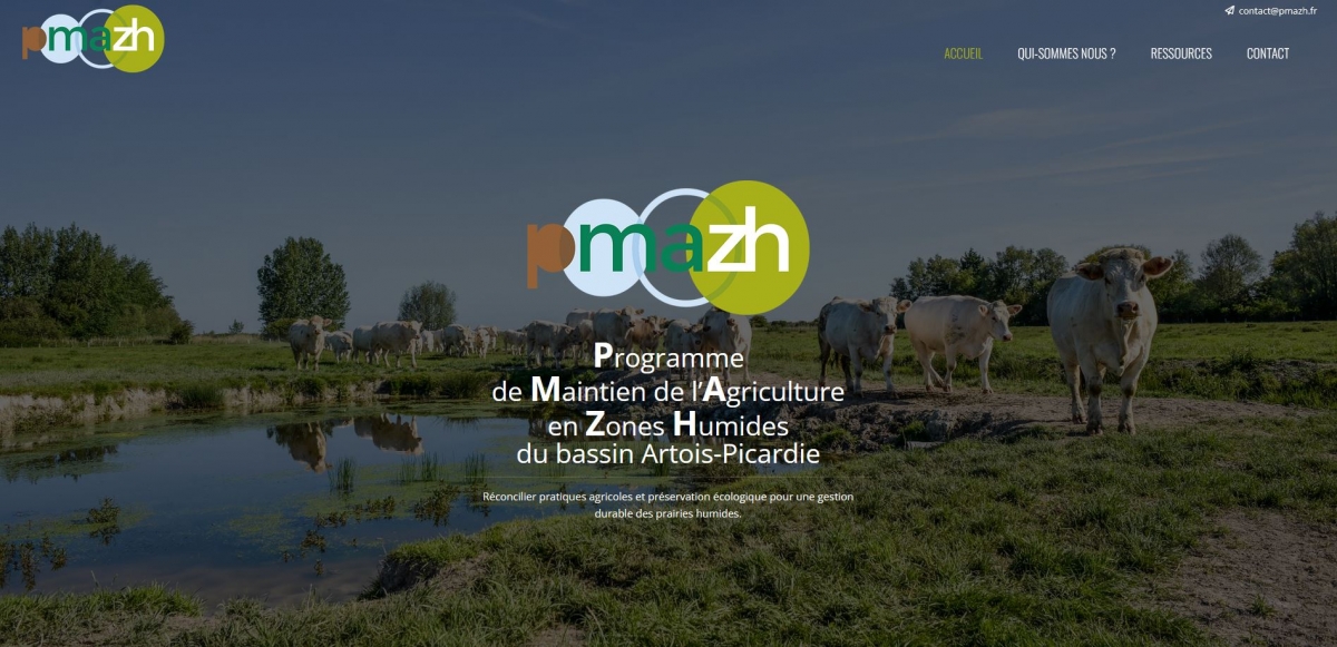 capture_ecran_site_web_pmazh.jpg