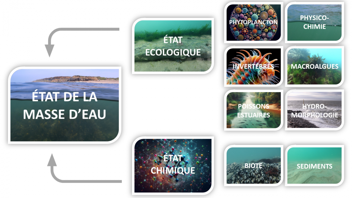 schema_evaluation_photos_1.png