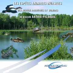 Pages de especes_animales_invasives_des_milieux_aquatiques_et_humides-2.jpg