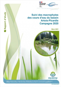 VIGNETTE_MACROPHYTES_2020.jpg