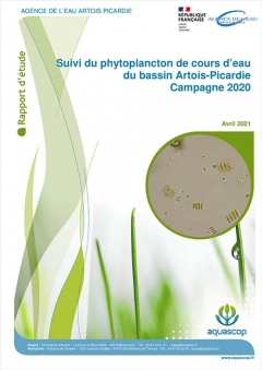 VIGNETTE_PHYTOPLANCTON_CE_2020.jpg