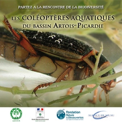 couv_les coléoptères aquatiques du bassin Artois-Picardie.jpg