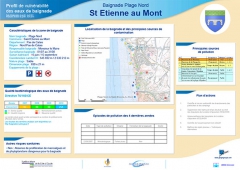 st_etienne_au_montr.jpg