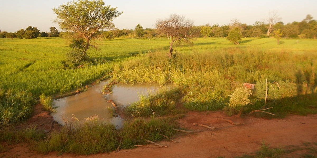 Burkina Faso 2_acourtecuisse-aeap_03172012.jpg