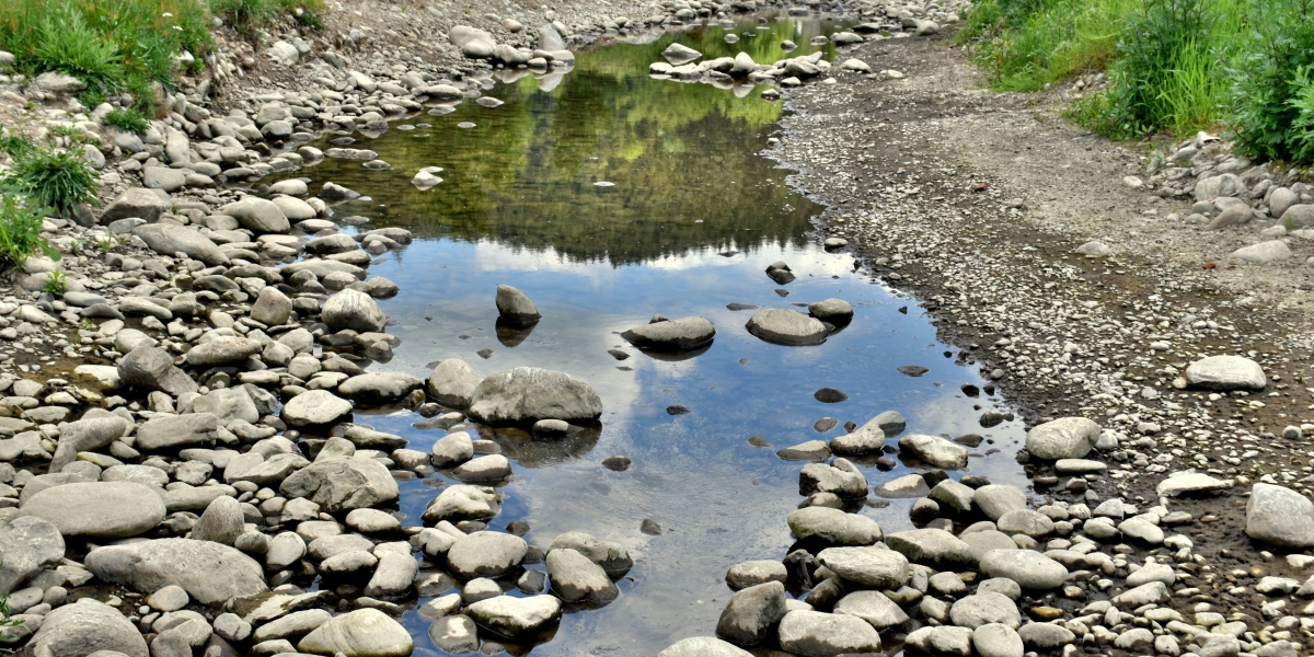adobestock_355003975.jpeg