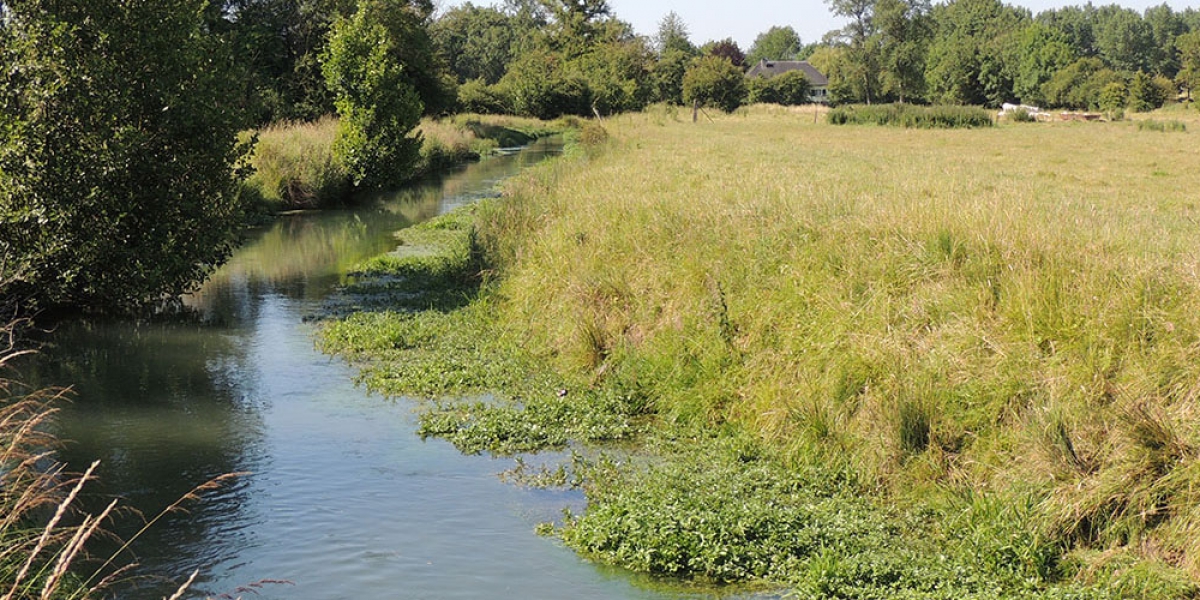 hallue_ddevallez-aeap_montigny_sur_lhallue_26062014_25.jpg