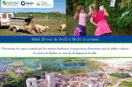 Préservation des espaces naturels par des moutons boulonnais et organisation d’animations pour les publics scolaires : la carrière de Lumbres au coeur du développement durable...