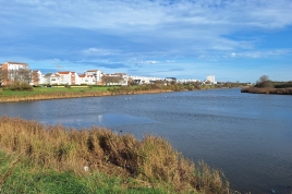 20251112_130304.jpg