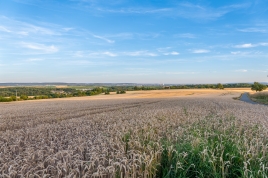 adobestock_2093394207.jpeg