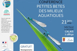 conférence "Petites bêtes des milieux aquatiques"