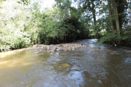 Inauguration des travaux de rétablissement de la continuité écologique de la Hem au Moulin de Leulenne