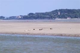 hourdel0017.jpg