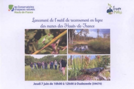 Lancement de l'outil de recensement en ligne des mares des Hauts-de-France