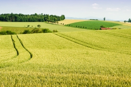 paysage_rural_fotolia_49981554_reduit.jpg