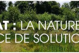 Journée technique "climat : la nature source de solutions"